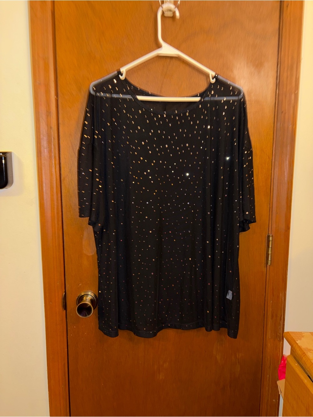 SHEIN SheerBlack Tunic Top